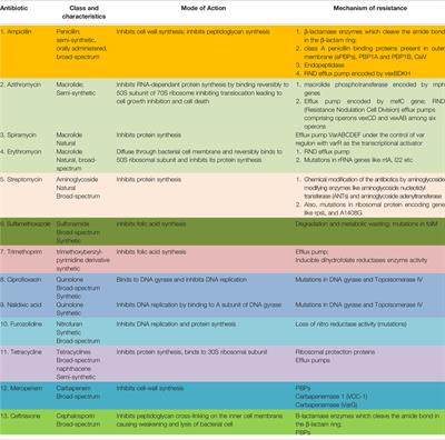 Mobile Genetic Elements of Vibrio cholerae and the Evolution of Its Antimicrobial Resistance